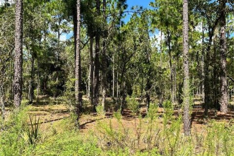 Land in Ocala, Florida № 2159876 - photo 2