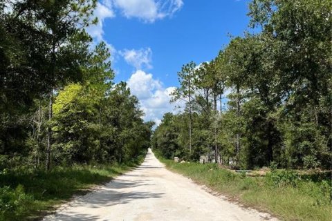Land in Ocala, Florida № 2159876 - photo 10