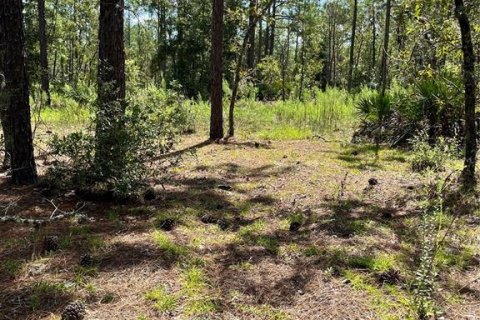 Land in Ocala, Florida № 2159876 - photo 5