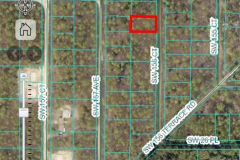 Land in Ocala, Florida № 2159876 - photo 15