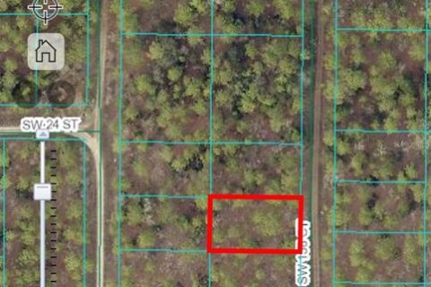 Land in Ocala, Florida № 2159876 - photo 14