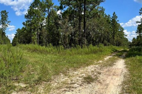 Land in Ocala, Florida № 2159876 - photo 9