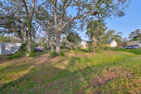 Land in Riverview, Florida № 1541600 - photo 8