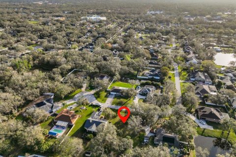 Land in Riverview, Florida № 1541600 - photo 17