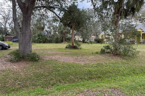 Land in Riverview, Florida № 1541600 - photo 4