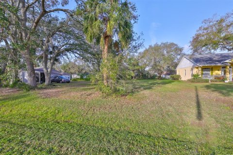 Land in Riverview, Florida № 1541600 - photo 3