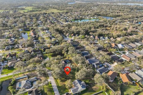 Land in Riverview, Florida № 1541600 - photo 9
