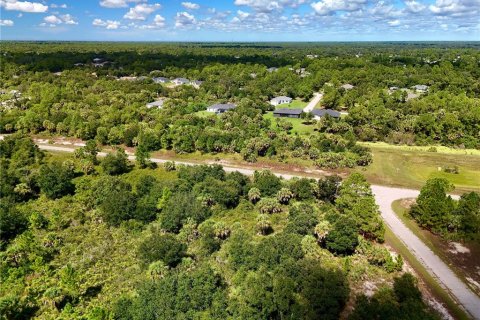 Land in North Port, Florida № 2396168 - photo 8