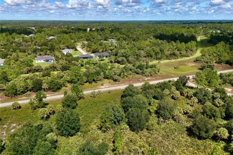 Land in North Port, Florida № 2396168 - photo 11