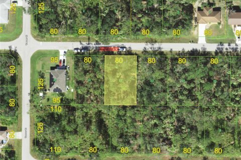 Land in Punta Gorda, Florida № 2162327 - photo 2