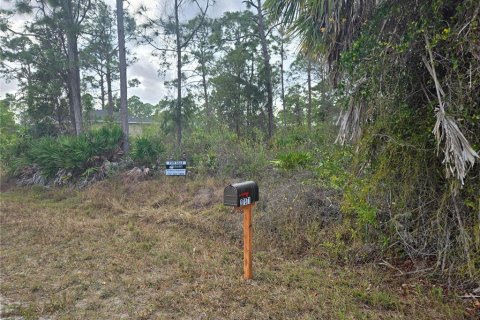Land in Punta Gorda, Florida № 2165363 - photo 2