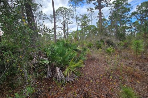 Land in Punta Gorda, Florida № 2165363 - photo 4