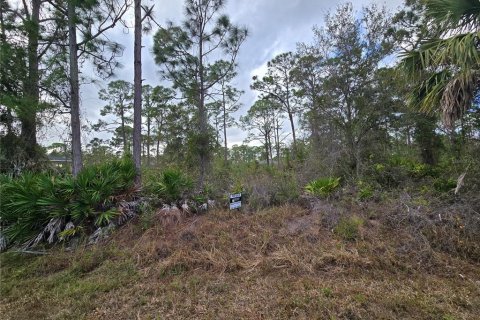 Land in Punta Gorda, Florida № 2165363 - photo 3