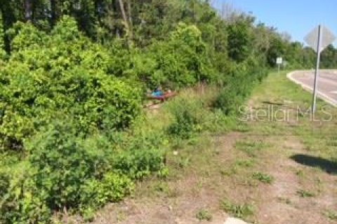Снять в аренду земельный участок в Санфорд, Флорида № 212790 - фото 1
