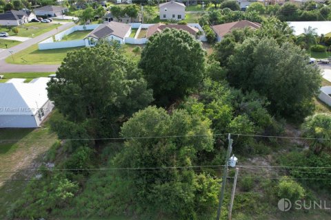 Land in Port St. Lucie, Florida № 1783847 - photo 6