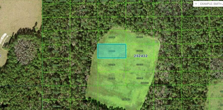 Terrain à Polk City, Floride № 2235277