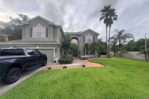 Casa en venta en Oldsmar, Florida, 5 dormitorios, 329.43 m2 № 1918392 - foto 5