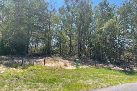 Land in Poinciana, Florida № 2165829 - photo 4