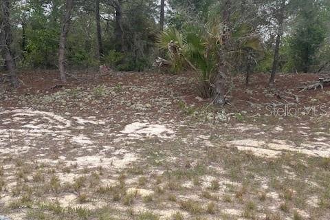 Land in Poinciana, Florida № 2165829 - photo 2