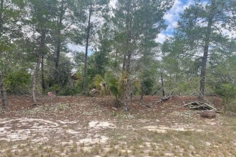 Land in Poinciana, Florida № 2165829