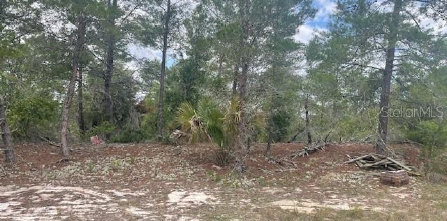 Land in Poinciana, Florida № 2165829