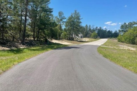 Land in Poinciana, Florida № 2165829 - photo 3