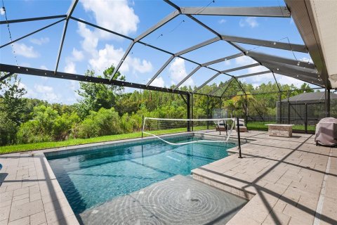 Villa ou maison à louer à New Port Richey, Floride: 5 chambres, 310.94 m2 № 2420436 - photo 29
