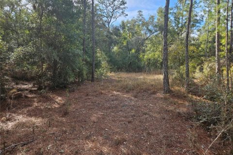Land in Webster, Florida № 2339401