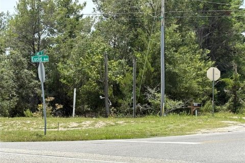 Commercial property in Crescent City, Florida № 1831815 - photo 30