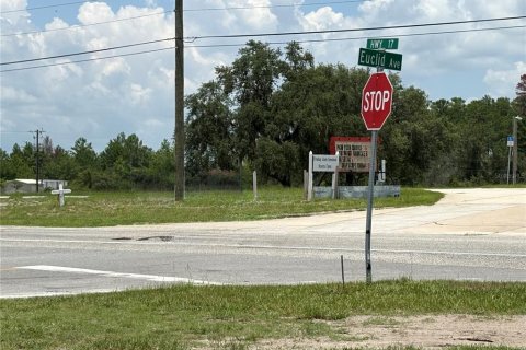 Commercial property in Crescent City, Florida № 1831815 - photo 24