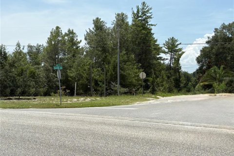 Commercial property in Crescent City, Florida № 1831815 - photo 29