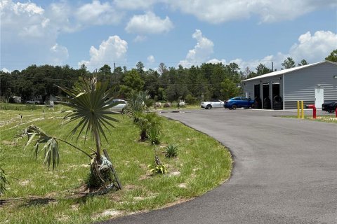 Commercial property in Crescent City, Florida № 1831815 - photo 18