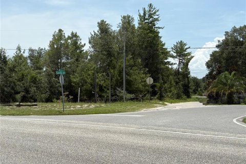 Commercial property in Crescent City, Florida № 1831815 - photo 28