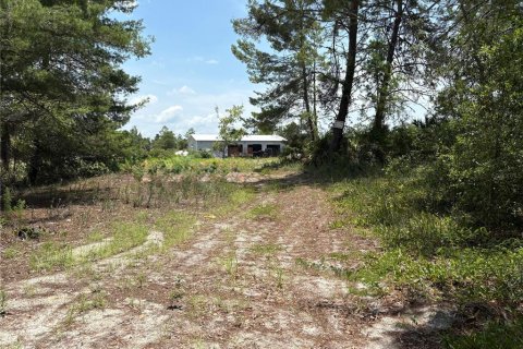 Commercial property in Crescent City, Florida № 1831815 - photo 10