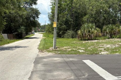 Commercial property in Crescent City, Florida № 1831815 - photo 21