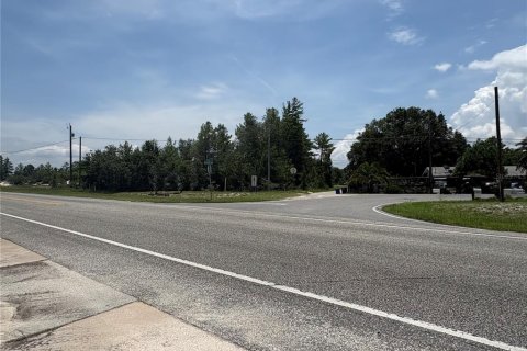 Commercial property in Crescent City, Florida № 1831815 - photo 26
