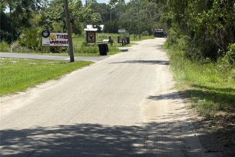Commercial property in Crescent City, Florida № 1831815 - photo 23