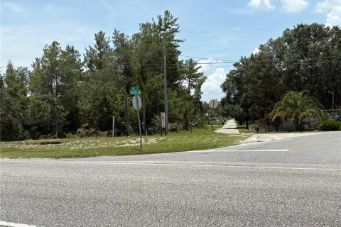 Commercial property in Crescent City, Florida № 1831815 - photo 9