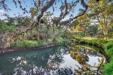 Villa ou maison à vendre à Holiday, Floride: 5 chambres, 178.37 m2 № 2117385 - photo 3