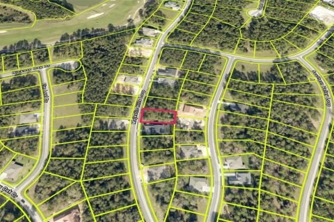 Land in Brooksville, Florida № 1767110 - photo 3