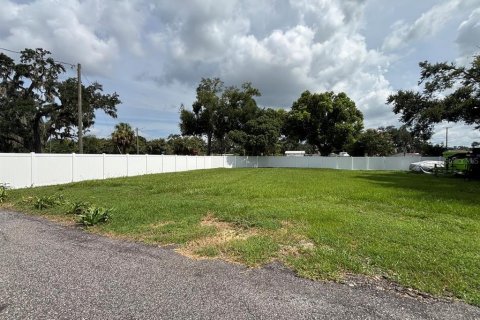 Immobilier commercial à vendre à Brandon, Floride: 170.38 m2 № 1857946 - photo 14