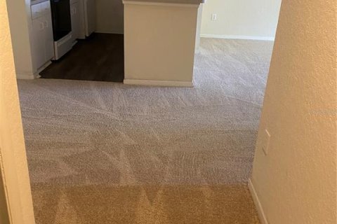 Copropriété à louer à Tampa, Floride: 1 chambre, 82.87 m2 № 2415498 - photo 2