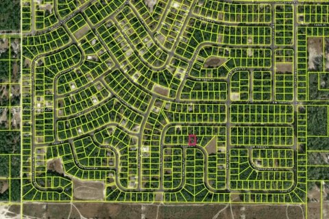 Terrain à vendre à Ocala, Floride № 2390143 - photo 6