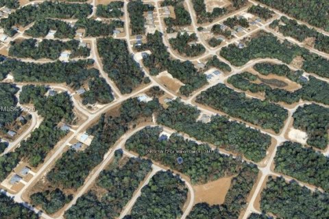Terrain à vendre à Ocala, Floride № 2390143 - photo 5