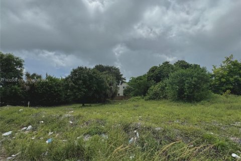 Terreno en venta en Fort Lauderdale, Florida № 1868058 - foto 3
