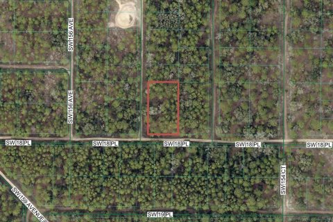 Land in Ocala, Florida № 2213083