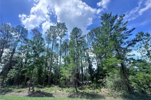 Land in Georgetown, Florida № 2233600
