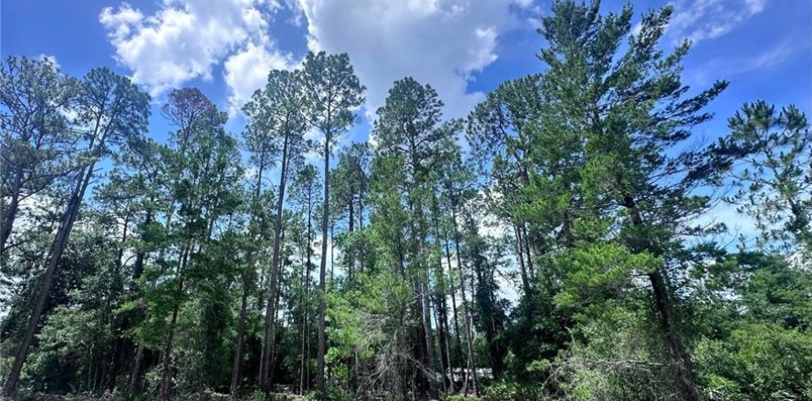 Land in Georgetown, Florida № 2233600