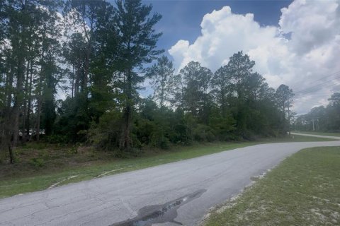 Land in Georgetown, Florida № 2233600 - photo 2