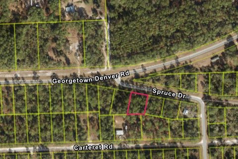 Land in Georgetown, Florida № 2233600 - photo 11